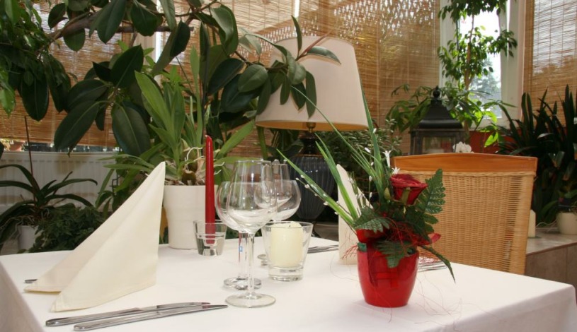 Wellness pension Rainbow ® Karlovy Vary